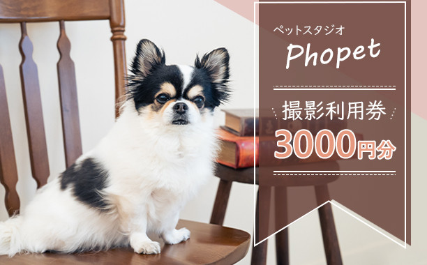 ペットスタジオPhopet&nbsp;撮影利用券3000円分相当