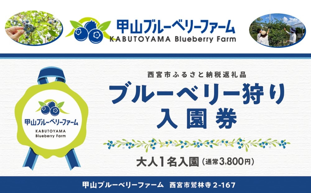 甲山ブルーベリーファーム&nbsp;ブルーベリー狩り入園券（大人1名）