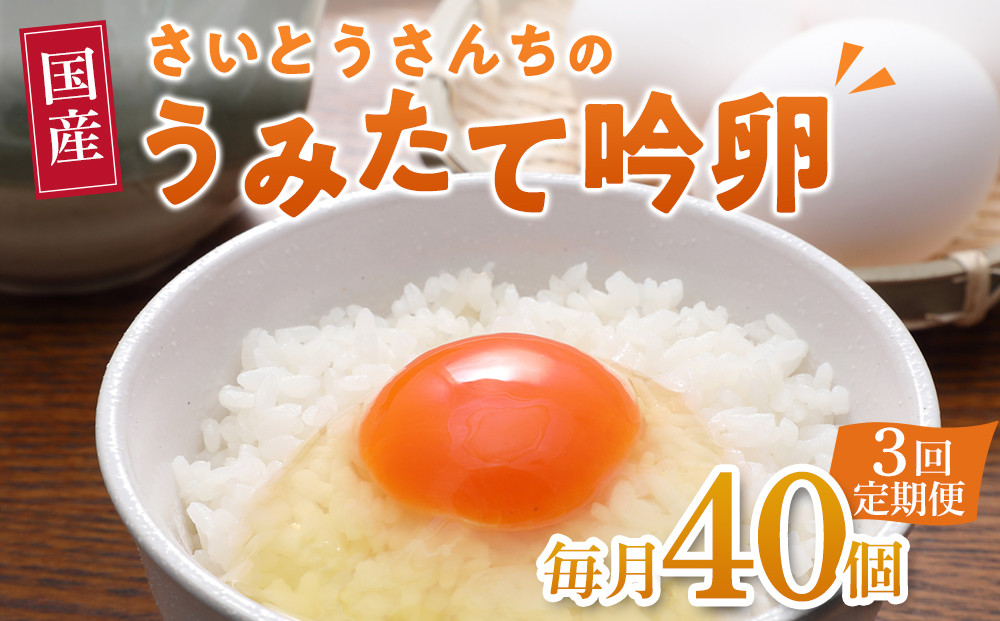 【3回定期便】さいとうさんちのうみたて吟卵　40個入り