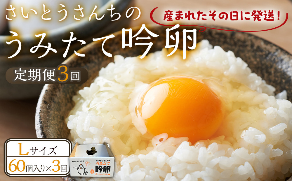 【3回定期便】さいとうさんちのうみたて吟卵　60個入り&nbsp;たまご&nbsp;玉子&nbsp;タマゴ&nbsp;新鮮&nbsp;生卵