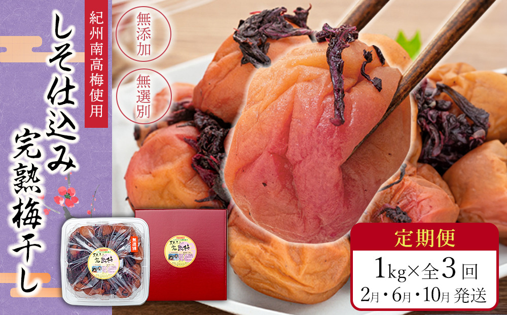 【定期便（2月・6月・10月）全3回お届け】 紀州南高梅使用 しそ仕込み完熟梅干し 無選別1kg ［TM214］