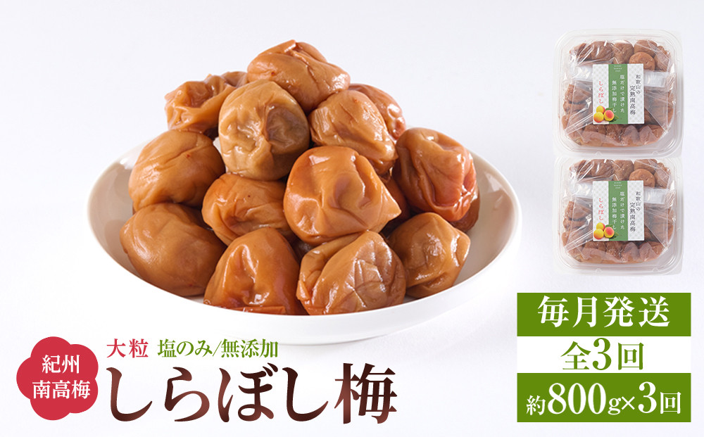 梅干し&nbsp;しらぼし梅&nbsp;&nbsp;約800g（約400g×2）&nbsp;塩のみ&nbsp;無添加&nbsp;大粒&nbsp;紀州南高梅&nbsp;塩分約15％&nbsp;和歌山県産&nbsp;[&nbsp;定期便&nbsp;毎月発送・全3回&nbsp;]