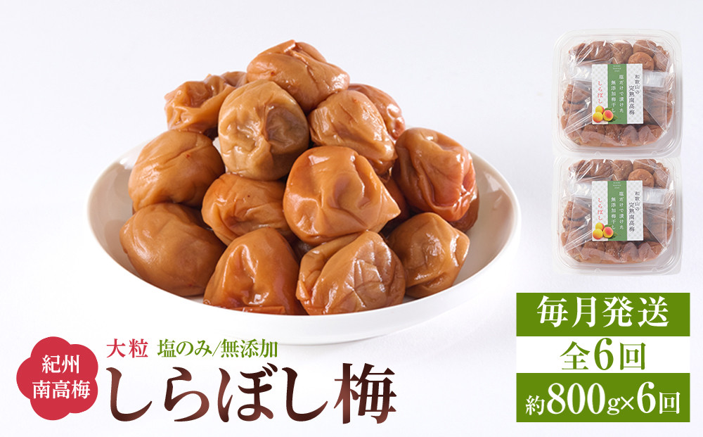 梅干し&nbsp;しらぼし梅&nbsp;&nbsp;約800g（約400g×2）&nbsp;塩のみ&nbsp;無添加&nbsp;大粒&nbsp;紀州南高梅&nbsp;塩分約15％&nbsp;和歌山県産&nbsp;[&nbsp;定期便&nbsp;毎月発送・全6回&nbsp;]