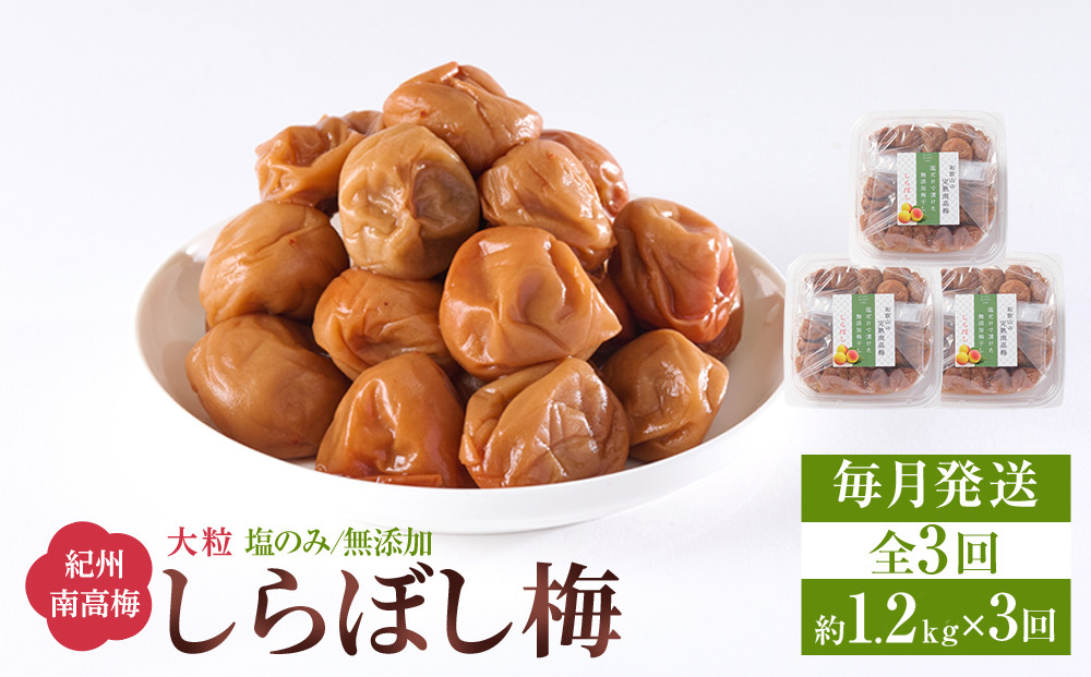 梅干し&nbsp;しらぼし梅&nbsp;約1.2kg（約400g×3）塩のみ&nbsp;無添加&nbsp;大粒&nbsp;紀州南高梅&nbsp;塩分約15％&nbsp;和歌山県産&nbsp;[&nbsp;定期便&nbsp;毎月発送・全3回&nbsp;]
