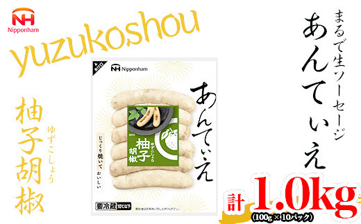 【ふるさと納税】無塩せき ウインナー あんてぃえ 柚子胡椒 100g x 10p 計1.0kg ［食品 無塩せきウインナー ソーセージ ゆず こしょう 国内製造 北海道 旭川 無塩せきソーセージ 発色剤不使用 日本ハム 小分け 定期便 パーティー お弁当 おつまみ 冷蔵 送料無料］_05367