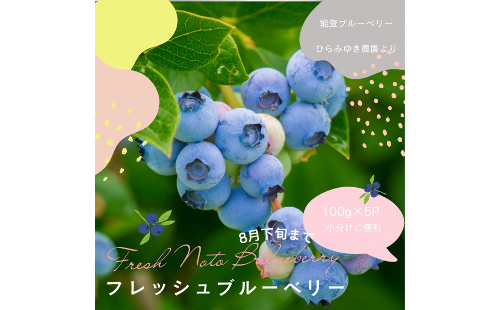 【復興支援】【先行予約】生・能登ブルーベリー100ｇパック×5つ