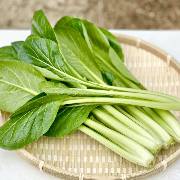 岡山県産&nbsp;新鮮小松菜&nbsp;900g&nbsp;栄養満点の健康野菜