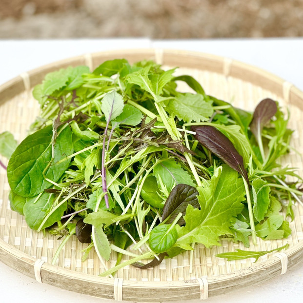 岡山県産&nbsp;新鮮野菜&nbsp;ベビーリーフ10種ミックス&nbsp;計400g