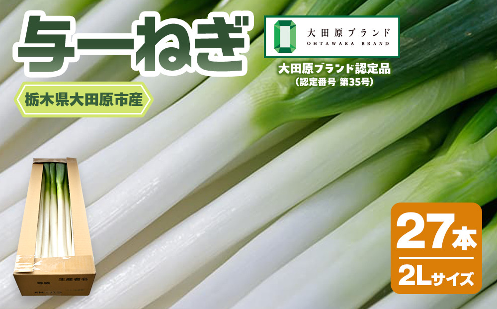 与一ねぎ&nbsp;2Lサイズ（27本）&nbsp;｜野菜&nbsp;ネギ&nbsp;農家直送&nbsp;産地直送&nbsp;産直&nbsp;大田原ブランド&nbsp;栃木県&nbsp;大田原市