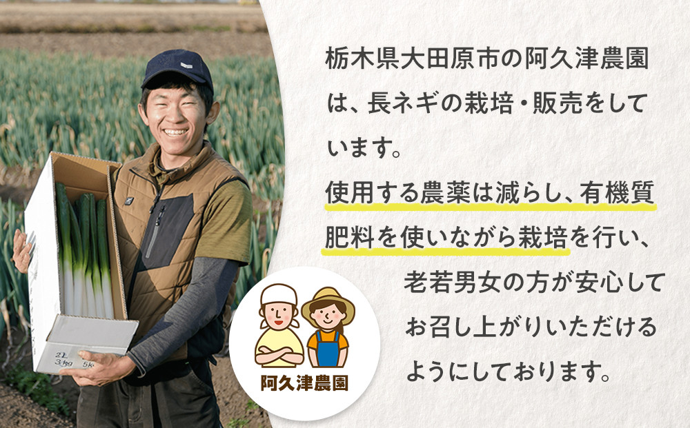 与一ねぎ Mサイズ（40本） ｜野菜 ネギ 農家直送 産地直送 産直 大田原