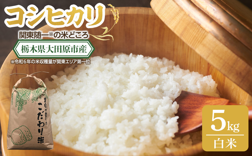 【令和7年産&nbsp;】栃木県&nbsp;大田原市産&nbsp;コシヒカリ&nbsp;白米&nbsp;5kg&nbsp;｜コメ&nbsp;お米&nbsp;銘柄米&nbsp;農家直送&nbsp;産地直送&nbsp;産直&nbsp;数量限定