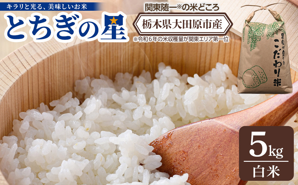 【令和7年産&nbsp;】栃木県&nbsp;大田原市産&nbsp;とちぎの星&nbsp;白米&nbsp;5kg&nbsp;｜コメ&nbsp;お米&nbsp;銘柄米&nbsp;農家直送&nbsp;産地直送&nbsp;産直&nbsp;数量限定