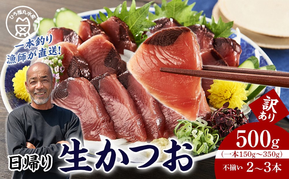 かつお一本釣り漁師が直送！ 日帰り生かつお 訳あり 500g入