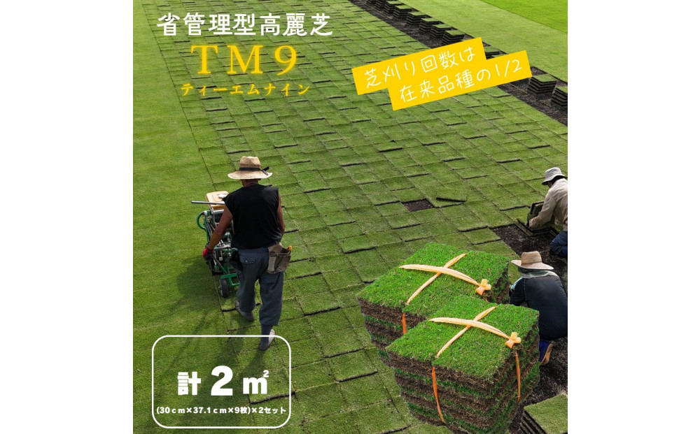 TM9（芝）約20平米分