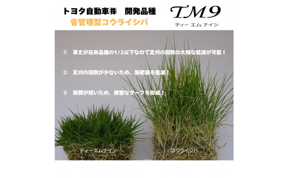 天然芝TM9 10束セット 【公式通販】
