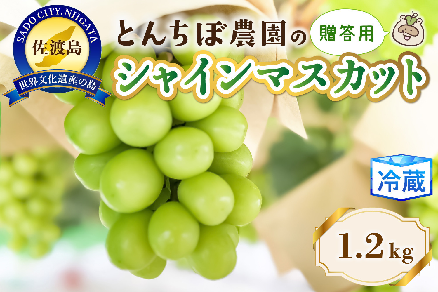 佐渡産&nbsp;贈答用大房シャインマスカット1.2kg（2房入り）