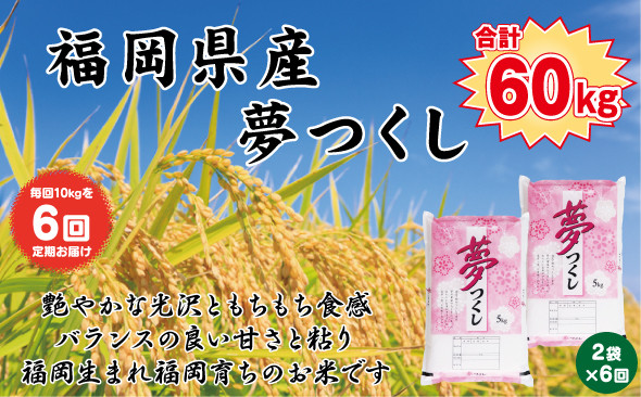 【定期便全6回】【令和7年産新米予約】【食味鑑定士厳選】福岡県産&nbsp;夢つくし10kg&nbsp;(5kg×2袋)&nbsp;合計&nbsp;60kg