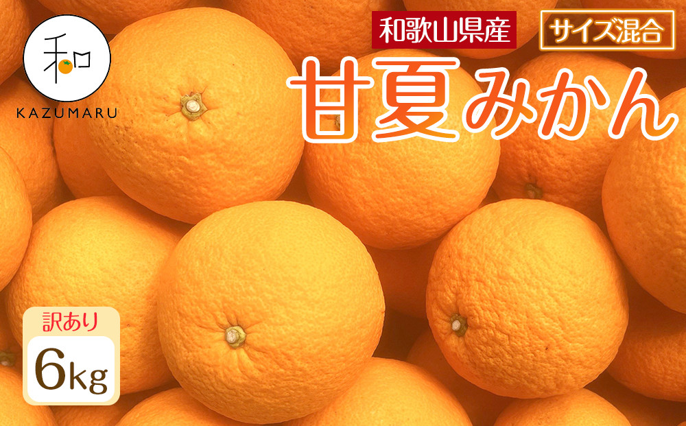 訳あり&nbsp;森本農園の手選別&nbsp;甘夏みかん&nbsp;約6kg&nbsp;和歌山県産&nbsp;サイズ混合&nbsp;［北海道・沖縄・離島配送不可］［2027年4月上旬から順次発送］［RN74］