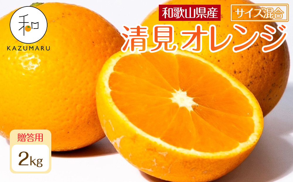 贈答用&nbsp;森本農園の手選別&nbsp;厳選清見オレンジ&nbsp;約2kg&nbsp;和歌山県産&nbsp;サイズ混合&nbsp;［北海道・沖縄・離島配送不可］［2026年2月上旬から順次発送予定］［RN88］
