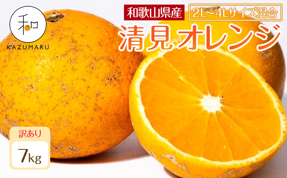 訳あり&nbsp;森本農園の手選別&nbsp;大玉清見オレンジ&nbsp;約7kg&nbsp;和歌山県産&nbsp;2L~4Lサイズ混合&nbsp;［北海道・沖縄・離島配送不可］［2026年2月上旬から順次発送予定］［RN103］