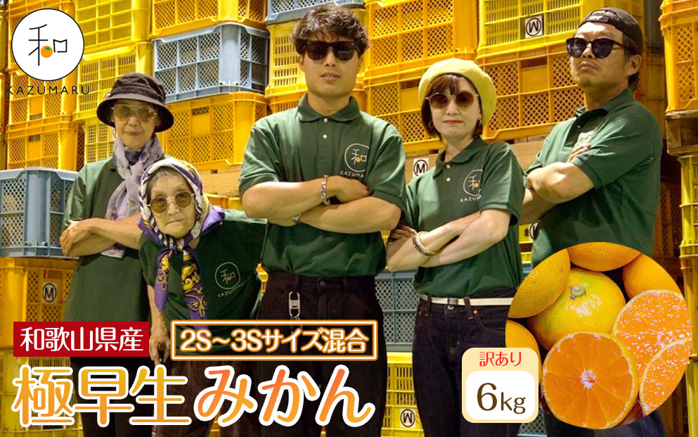 訳あり&nbsp;森本農園の手選別&nbsp;極早生小粒みかん&nbsp;約6kg&nbsp;和歌山県産&nbsp;2S・3Sサイズ混合&nbsp;［北海道・沖縄・離島配送不可］［2026年10月上旬から順次発送］［RN56］