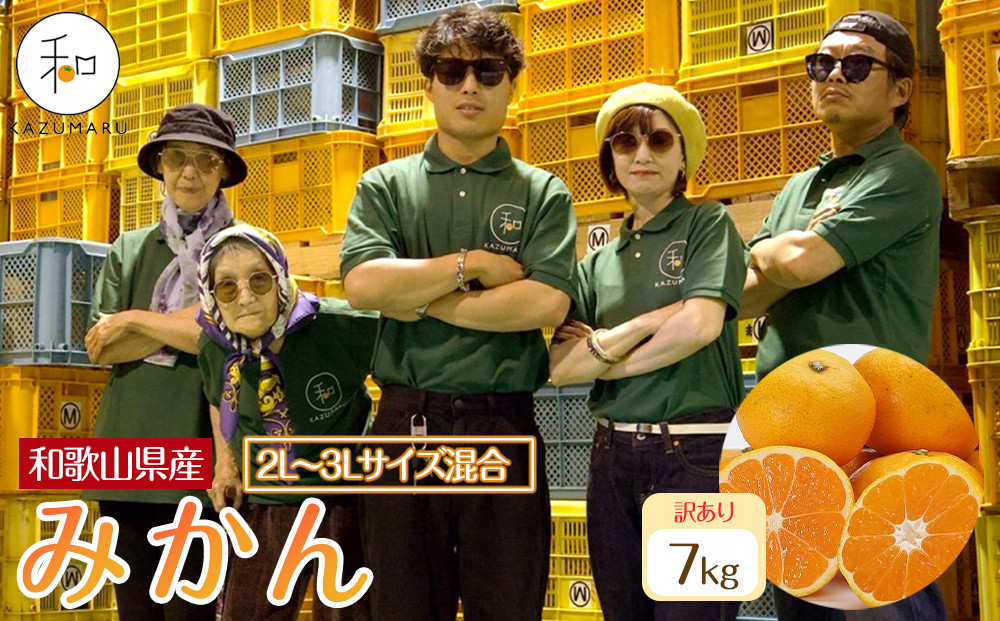 訳あり&nbsp;森本農園の手選別&nbsp;大玉みかん&nbsp;約7kg&nbsp;和歌山県産&nbsp;2L・3Lサイズ混合&nbsp;［北海道・沖縄・離島配送不可］［2025年11月上旬から順次発送］［RN83］