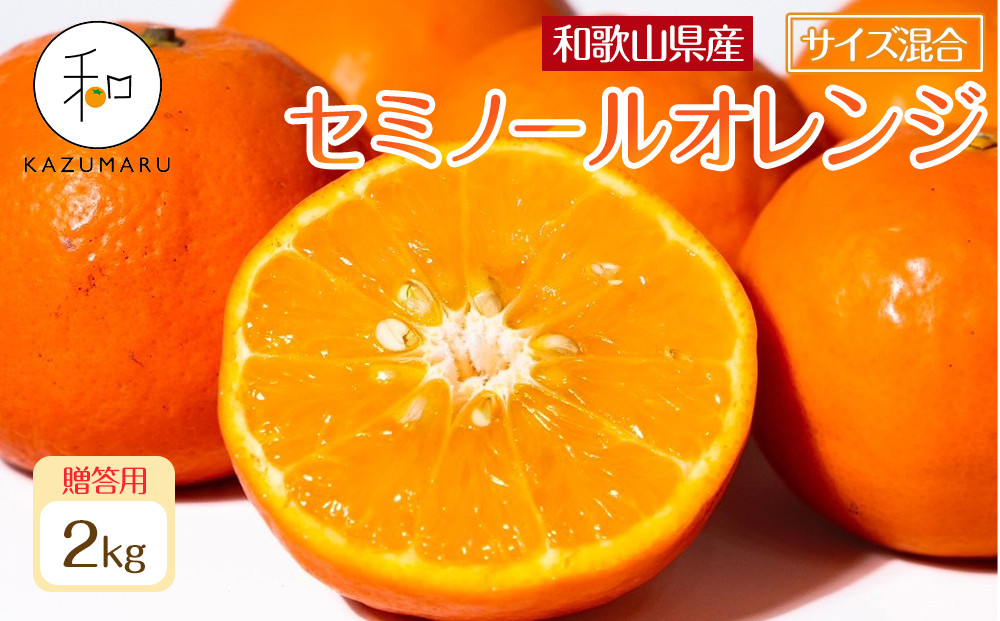 贈答用&nbsp;森本農園の手選別&nbsp;厳選セミノールオレンジ&nbsp;約2kg&nbsp;和歌山県産&nbsp;サイズ混合&nbsp;［北海道・沖縄・離島配送不可］［2026年4月中旬から順次発送］［RN110］