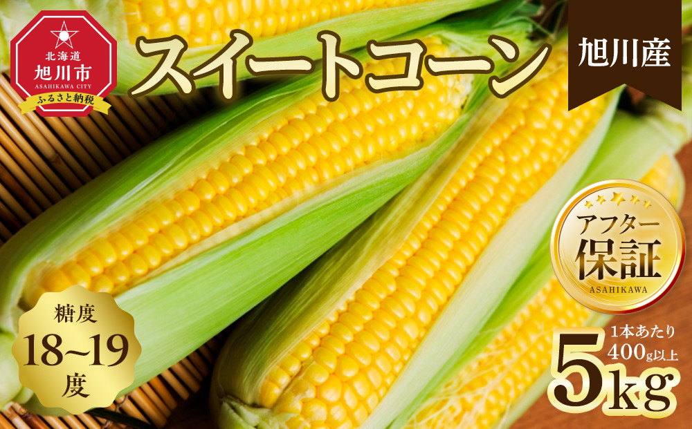 地元テレビで紹介!【先行予約】糖度18～19度!&nbsp;北海道旭川産スイートコーン約5kg&nbsp;(2026年8月中旬発送開始予定)&nbsp;【&nbsp;とうもろこし&nbsp;コーン&nbsp;ゴールドラッシュ&nbsp;野菜&nbsp;旬&nbsp;お取り寄せ&nbsp;北海道&nbsp;旭川市&nbsp;】_05256