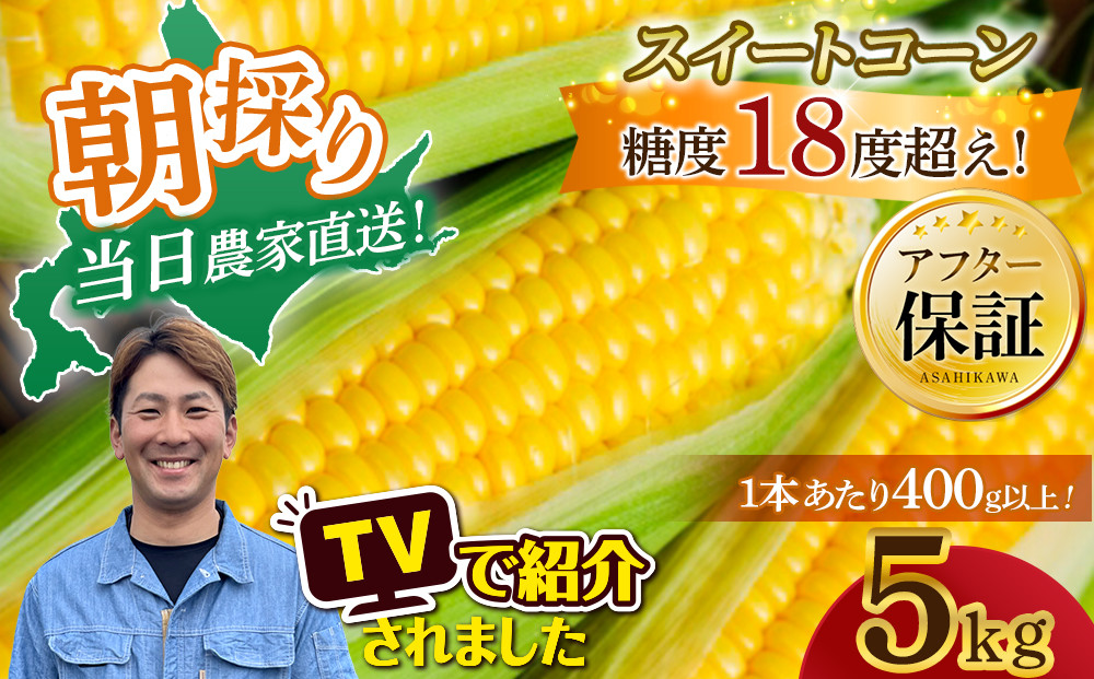 地元テレビで紹介!【先行予約】糖度18～19度!&nbsp;北海道旭川産朝採れスイートコーン約5kg&nbsp;(2026年8月中旬発送開始予定)&nbsp;【&nbsp;とうもろこし&nbsp;コーン&nbsp;ゴールドラッシュ&nbsp;野菜&nbsp;旬&nbsp;お取り寄せ&nbsp;北海道&nbsp;旭川市&nbsp;】_05256