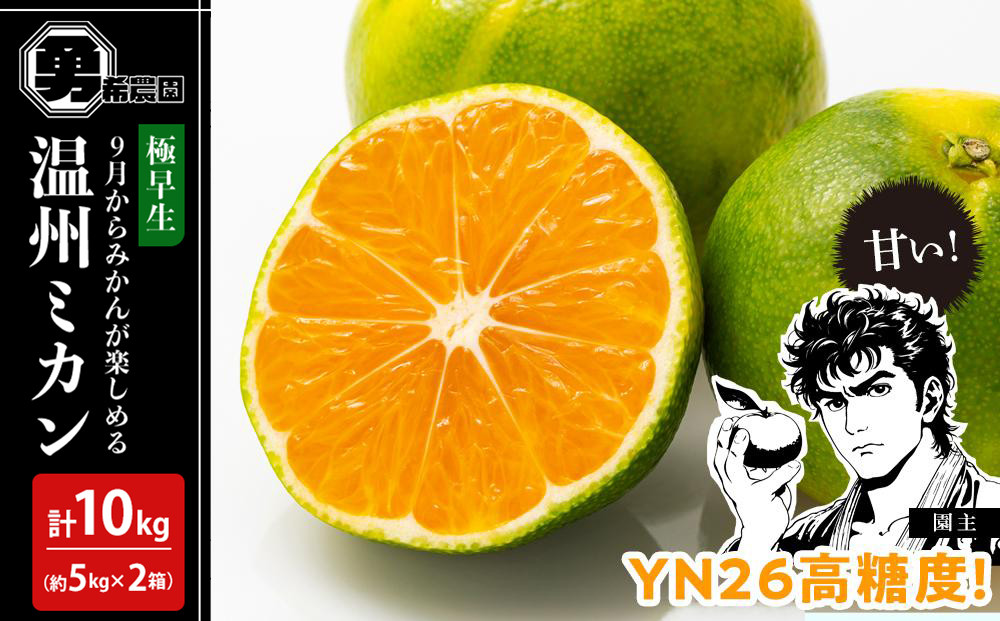 先行予約極早生温州ミカン&nbsp;YN26&nbsp;約10kg&nbsp;（約5kg×2箱）サイズ混合&nbsp;和歌山県&nbsp;有田みかん&nbsp;2025年9月下旬頃発送