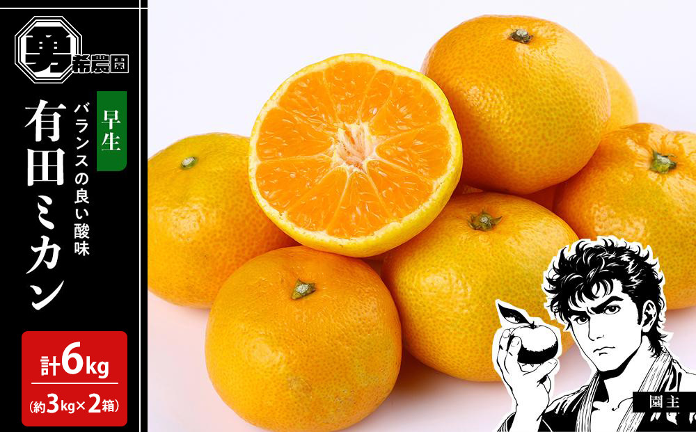 先行予約早生みかん&nbsp;約6kg（約3kg×2箱）サイズ混合&nbsp;和歌山県&nbsp;有田みかん&nbsp;2025年11月中旬頃発送