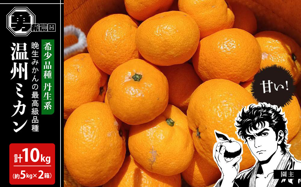 先行予約希少品種 丹生系 温州みかん 約10kg （約5kg×2箱） 秀・優混合 サイズ混合 2026年2月中旬頃発送