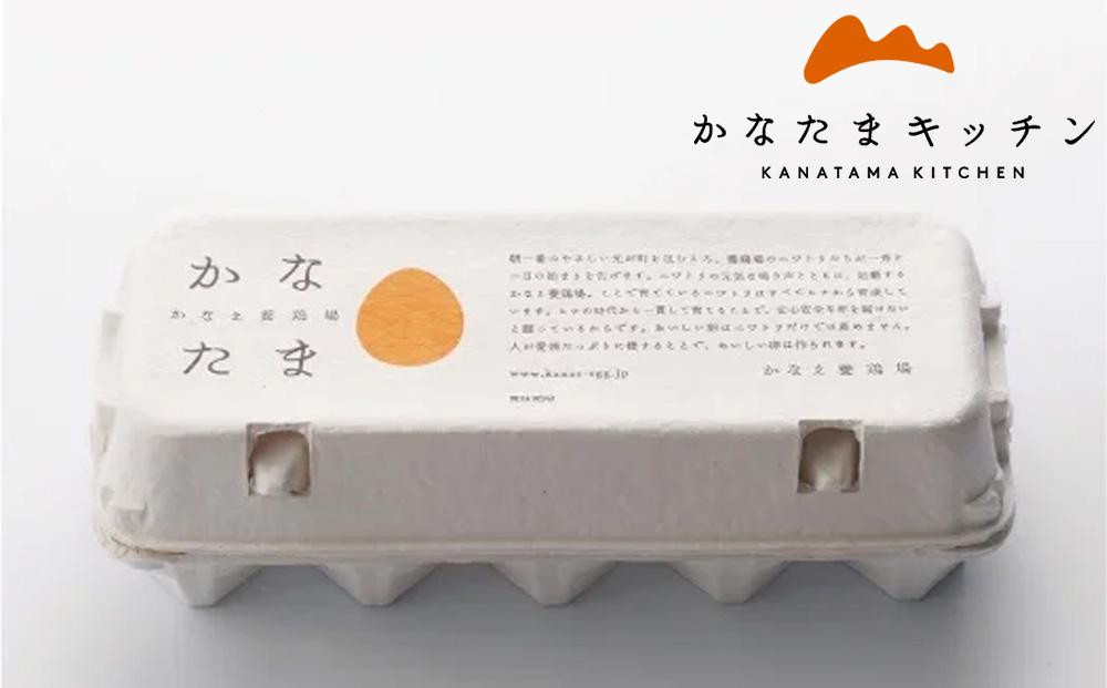 【定期便全2回】朝どれかなたま 30個【卵 鶏卵 たまご 新鮮 】