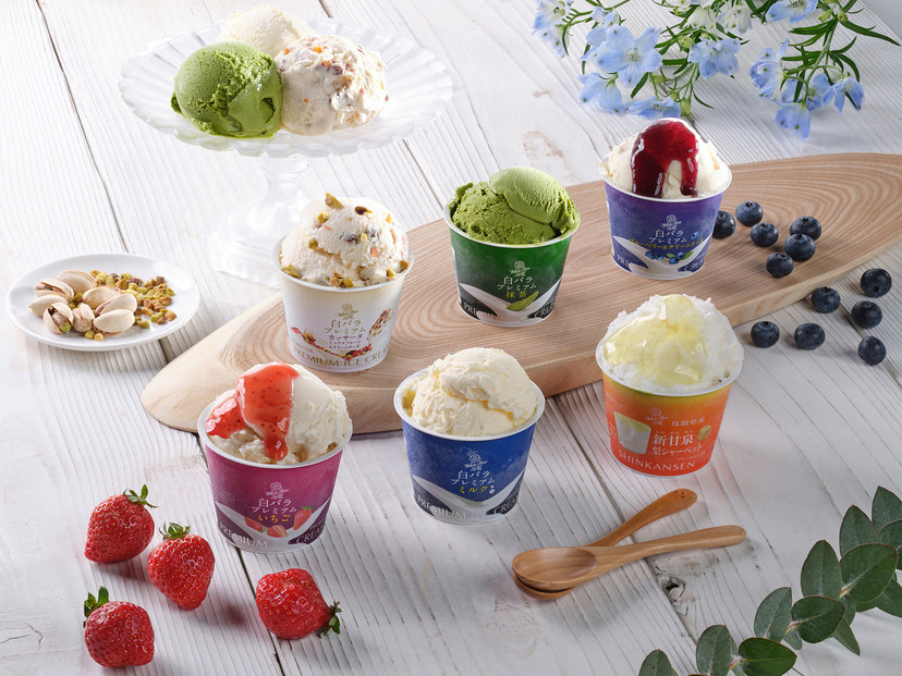 【定期便】大山乳業　全3回お届けセット【アイスクリーム&nbsp;シャーベット&nbsp;ロールケーキ&nbsp;コーヒー&nbsp;珈琲&nbsp;牛乳&nbsp;ミルク&nbsp;飲むヨーグルト&nbsp;のむヨーグルト&nbsp;カフェオレ&nbsp;人気&nbsp;おすすめ&nbsp;鳥取県&nbsp;琴浦町&nbsp;送料無料】