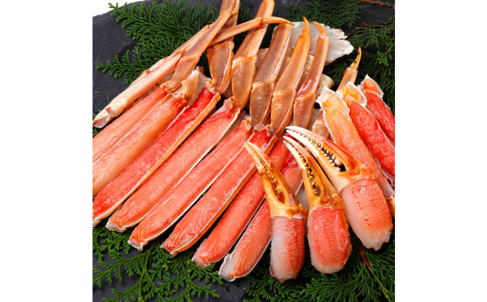 【&nbsp;12月以降発送&nbsp;】【蟹セレブ】カット生紅ずわい蟹2kg