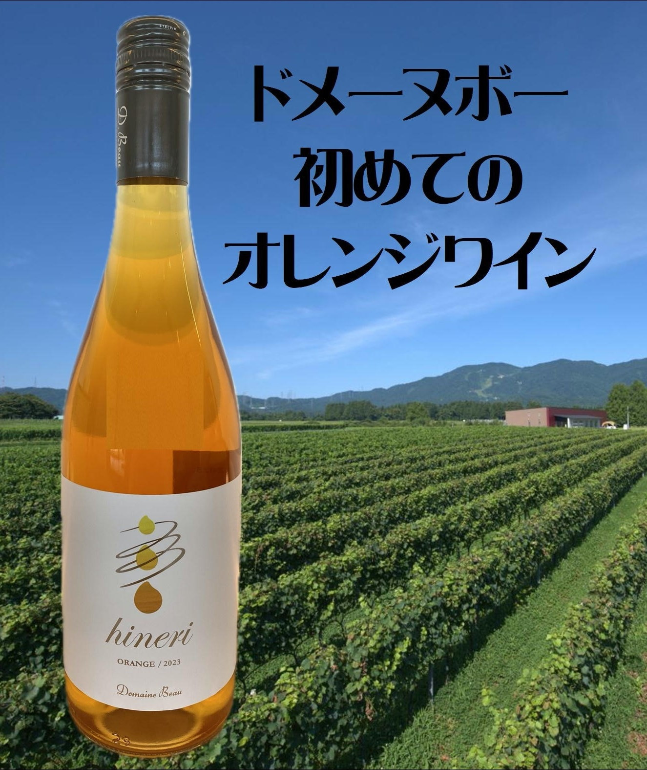 ドメーヌボー 立野原 hineri オレンジ 2023