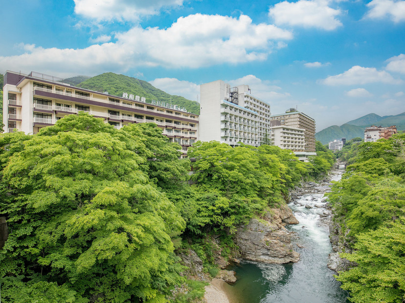 鬼怒川温泉ホテル&nbsp;ペア宿泊券&nbsp;【和室】【夕食・朝食ブッフェ】&nbsp;|&nbsp;&nbsp;宿泊券&nbsp;旅館&nbsp;ホテル&nbsp;温泉&nbsp;旅行&nbsp;観光&nbsp;クーポン&nbsp;世界遺産&nbsp;日光
