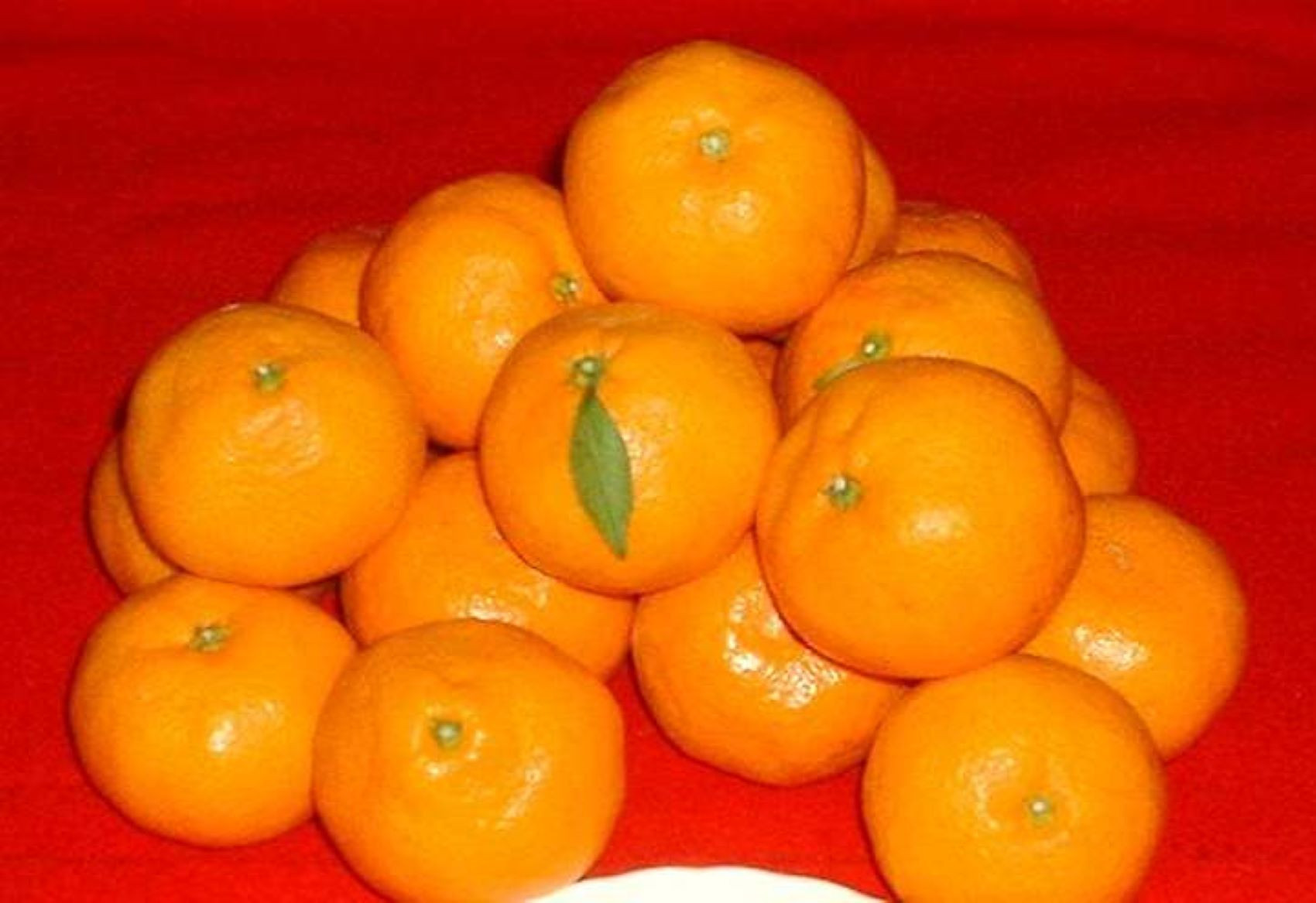 紀州有田みかん&nbsp;約10kg&nbsp;2Lサイズ(大玉)［SL44］