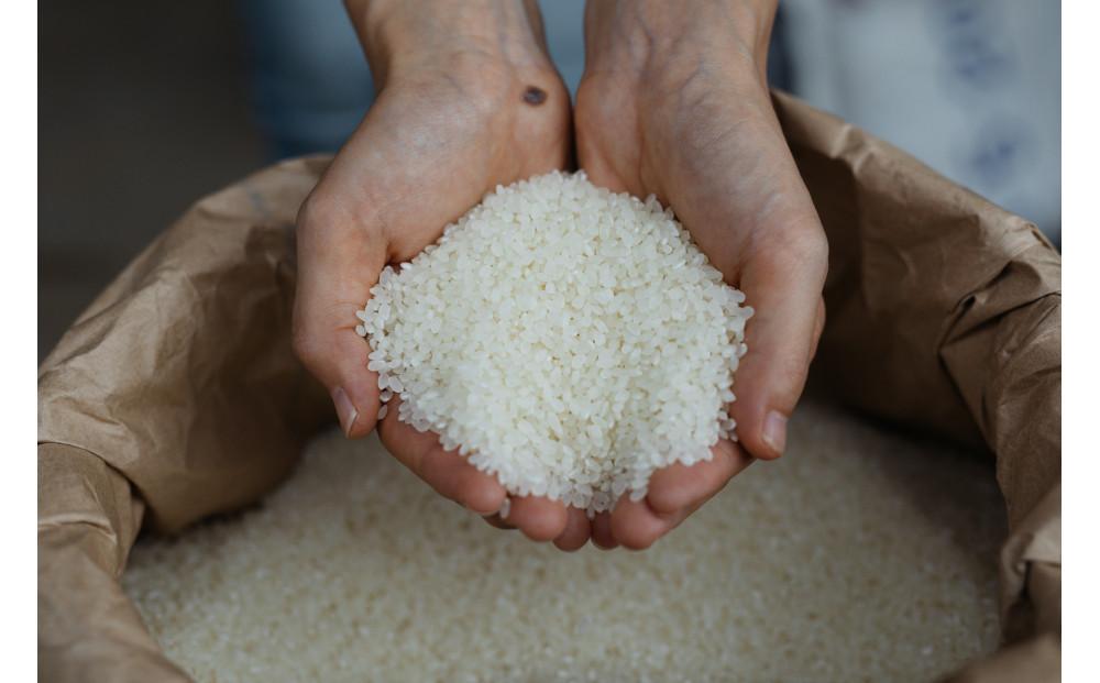 2025年度産　きぬむすめ5キロ