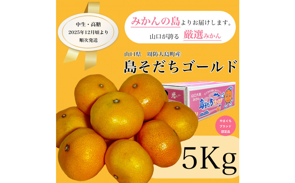 【やまぐちブランド認定品】2025年12月頃より順次発送!島そだちゴールド(中生・高糖) 5kg