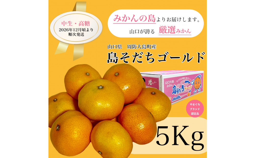 【やまぐちブランド認定品】2026年12月頃より順次発送!島そだちゴールド(中生・高糖)&nbsp;5kg