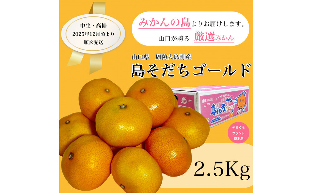 【やまぐちブランド認定品】2025年12月頃より順次発送!島そだちゴールド(中生・高糖) 2.5kg