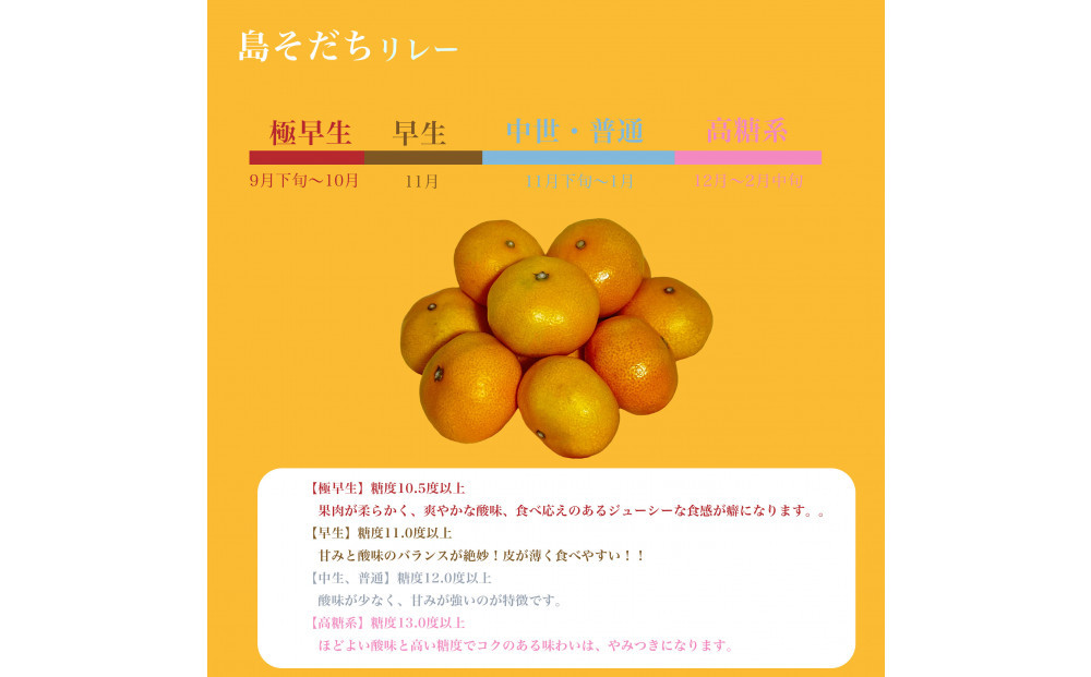 やまぐちブランド認定品】2026年12月頃より順次発送!島そだちゴールド