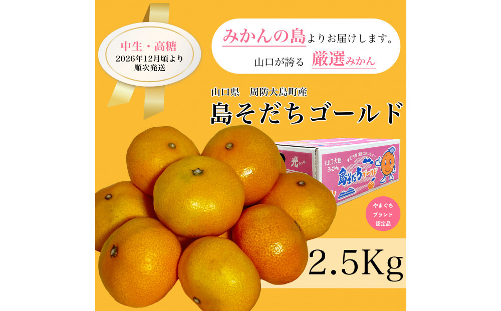 【やまぐちブランド認定品】2026年12月頃より順次発送!島そだちゴールド(中生・高糖)&nbsp;2.5kg