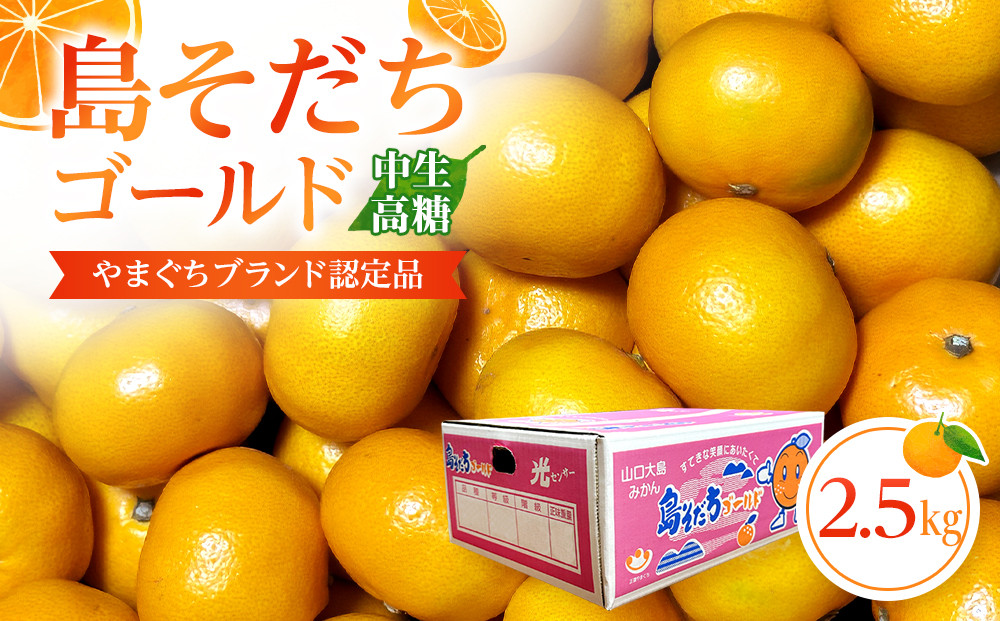 【やまぐちブランド認定品】2026年12月頃より順次発送!島そだちゴールド(中生・高糖)&nbsp;2.5kg