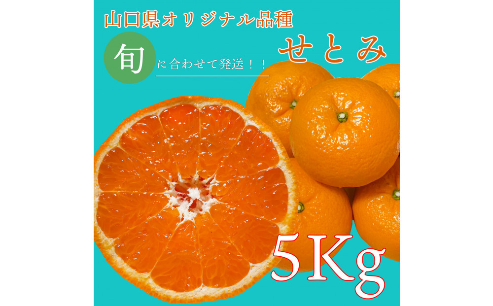 【2026年2月下旬～3月頃より順次発送】山口県が誇るオリジナル柑橘《せとみ》5kg
