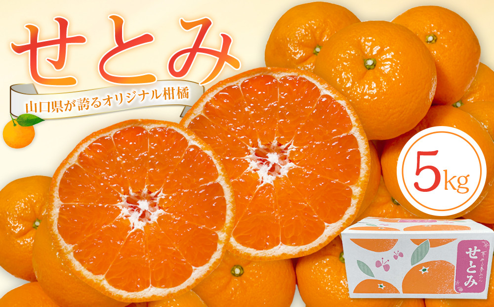 【2026年2月下旬～3月頃より順次発送】山口県が誇るオリジナル柑橘《せとみ》5kg