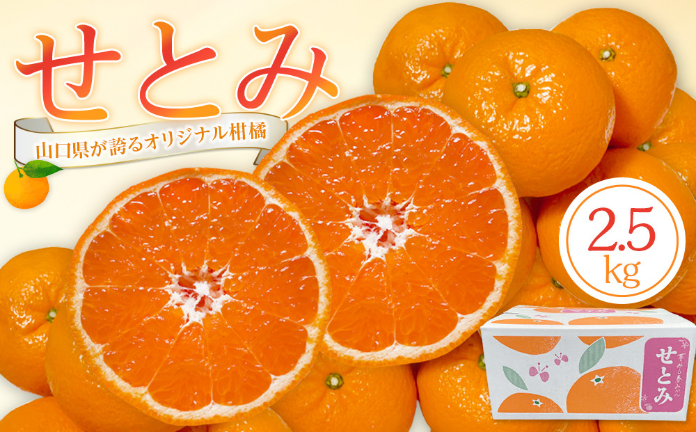 【2026年2月下旬～3月頃より順次発送】山口県が誇るオリジナル柑橘《せとみ》2.5kg