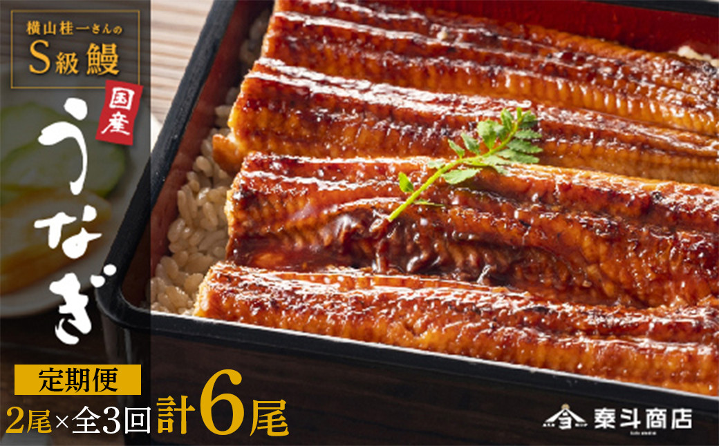 【定期便全3回】横山桂一さんのS級鰻　大2尾　×3回配送　計6尾