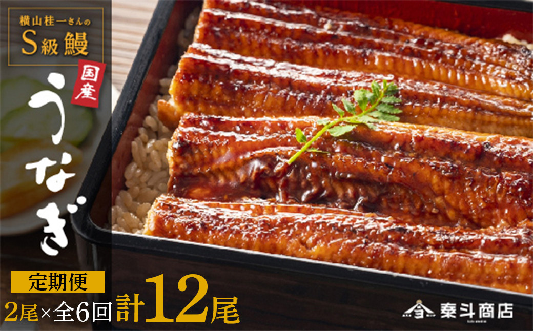 【定期便全6回】横山桂一さんのS級鰻　大2尾　×6回配送　計12尾
